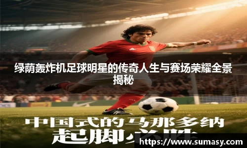 绿荫轰炸机足球明星的传奇人生与赛场荣耀全景揭秘